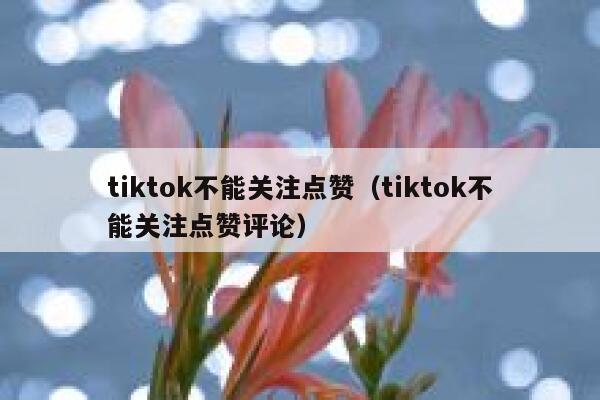 tiktok不能关注点赞(tiktok不能关注点赞评论) 第1张 tiktok不能关注点赞(tiktok不能关注点赞评论) 第1张