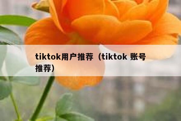 tiktok用户推荐（tiktok 账号推荐） 第1张