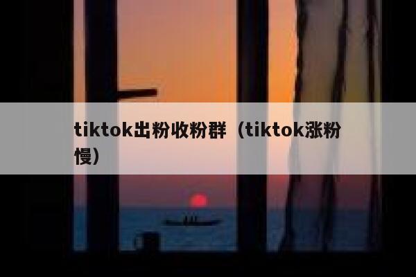 tiktok出粉收粉群（tiktok涨粉慢） 第1张