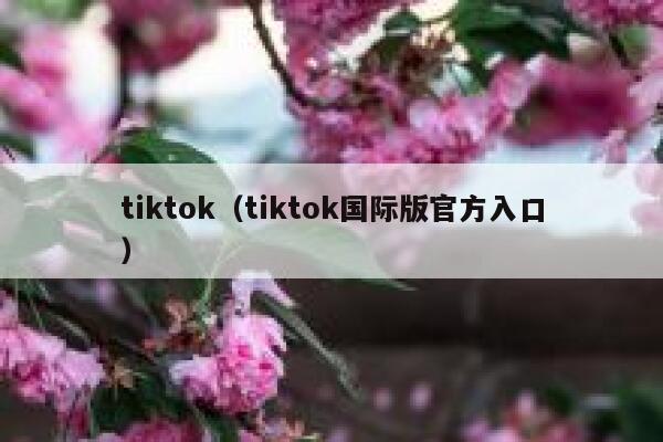tiktok（tiktok国际版官方入口） 第1张