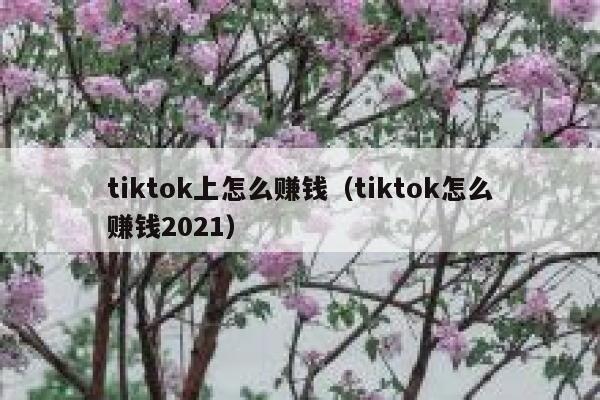tiktok上怎么赚钱（tiktok怎么赚钱2021） 第1张