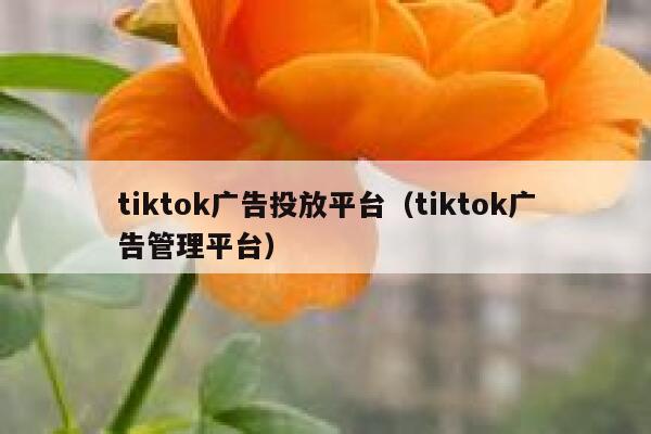 tiktok广告投放平台（tiktok广告管理平台） 第1张