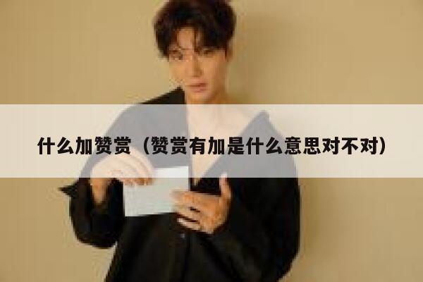 什么加赞赏（赞赏有加是什么意思对不对） 第1张