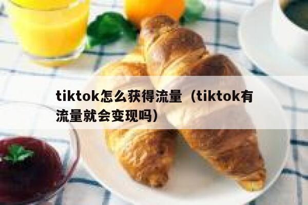 tiktok怎么获得流量（tiktok有流量就会变现吗） 第1张