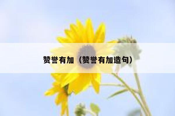 赞誉有加（赞誉有加造句） 第1张