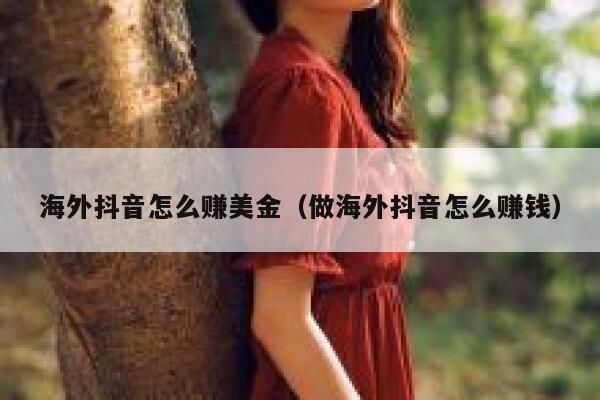 海外抖音怎么赚美金（做海外抖音怎么赚钱） 第1张