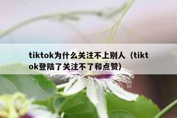 tiktok为什么关注不上别人(tiktok登陆了关注不了和点赞) 第1张 tiktok为什么关注不上别人(tiktok登陆了关注不了和点赞) 第1张
