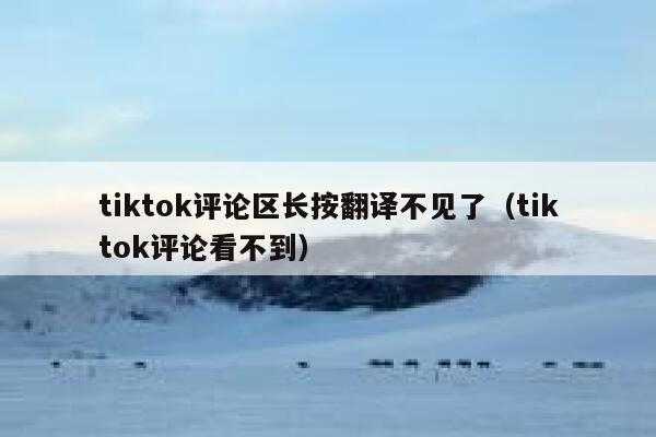 tiktok评论区长按翻译不见了(tiktok评论看不到) 第1张 tiktok评论区长按翻译不见了(tiktok评论看不到) 第1张