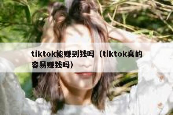 tiktok能赚到钱吗(tiktok真的容易赚钱吗) 第1张 tiktok能赚到钱吗(tiktok真的容易赚钱吗) 第1张