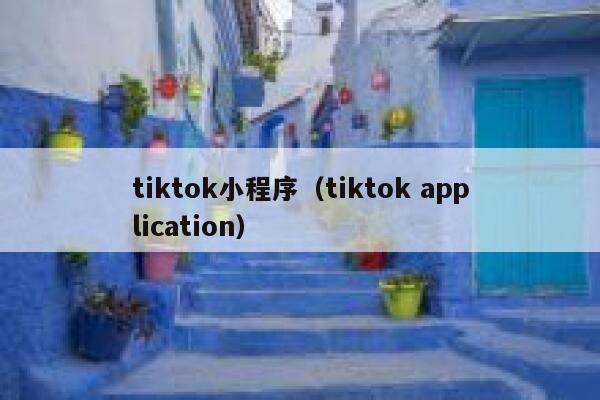 tiktok小程序(tiktok application) 第1张 tiktok小程序(tiktok application) 第1张