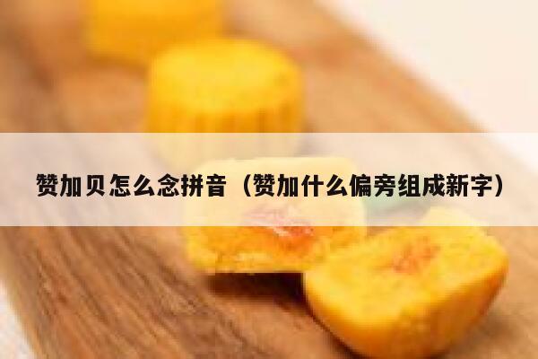 赞加贝怎么念拼音(赞加什么偏旁组成新字) 第1张 赞加贝怎么念拼音(赞加什么偏旁组成新字) 第1张
