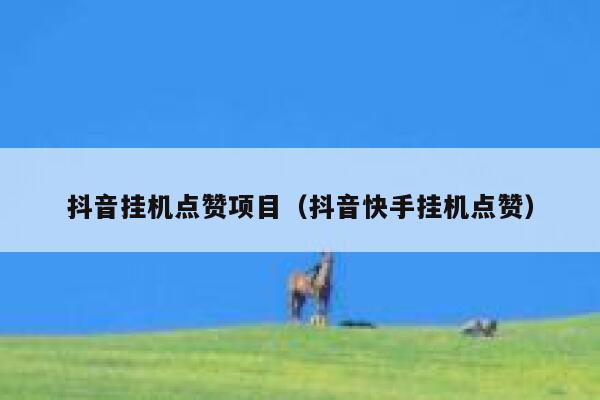 抖音挂机点赞项目（抖音快手挂机点赞） 第1张