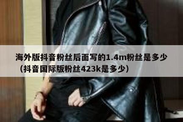 海外版抖音粉丝后面写的1.4m粉丝是多少（抖音国际版粉丝423k是多少） 第1张