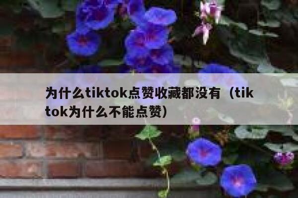 为什么tiktok点赞收藏都没有(tiktok为什么不能点赞) 第1张 为什么tiktok点赞收藏都没有(tiktok为什么不能点赞) 第1张