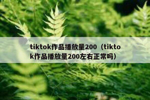 tiktok作品播放量200（tiktok作品播放量200左右正常吗） 第1张