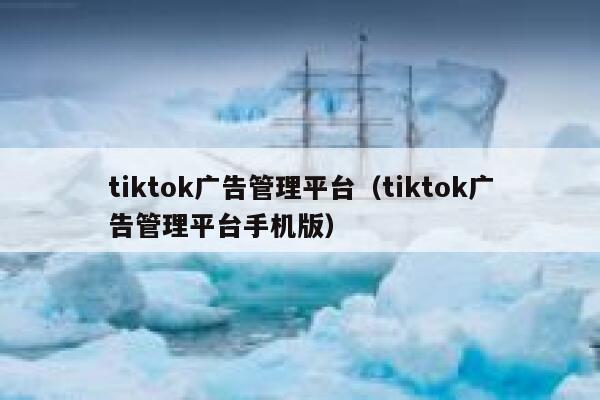 tiktok广告管理平台（tiktok广告管理平台手机版） 第1张