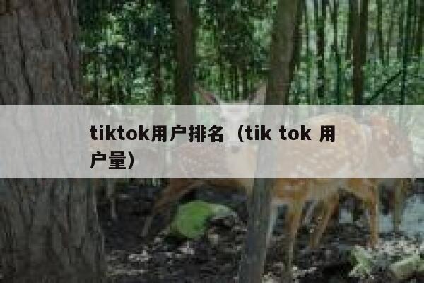 tiktok用户排名（tik tok 用户量） 第1张