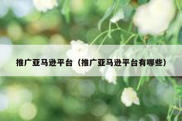 推广亚马逊平台（推广亚马逊平台有哪些） 第1张