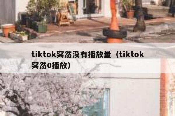tiktok突然没有播放量(tiktok突然0播放) 第1张 tiktok突然没有播放量(tiktok突然0播放) 第1张