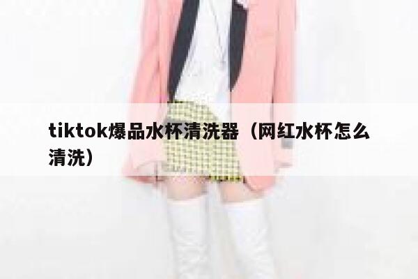 tiktok爆品水杯清洗器（网红水杯怎么清洗） 第1张
