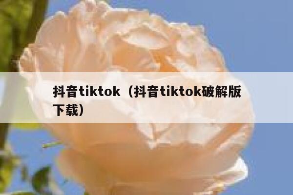抖音tiktok（抖音tiktok破解版下载） 第1张