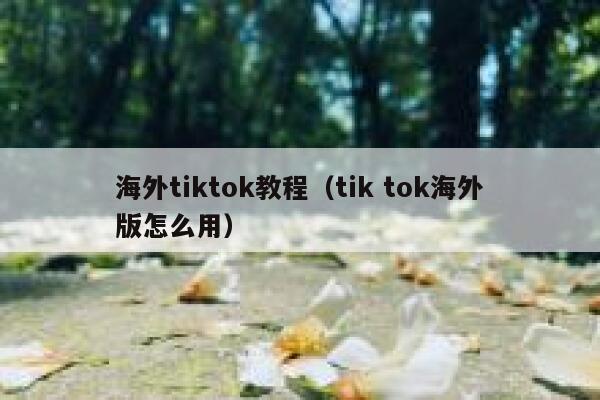 海外tiktok教程(tik tok海外版怎么用) 第1张 海外tiktok教程(tik tok海外版怎么用) 第1张