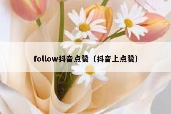 follow抖音点赞（抖音上点赞） 第1张