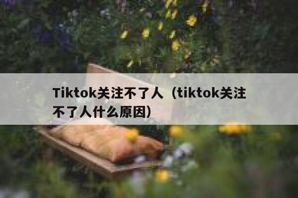 Tiktok关注不了人（tiktok关注不了人什么原因） 第1张