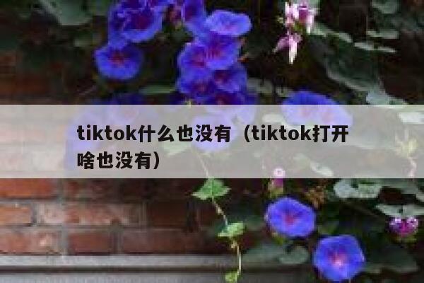 tiktok什么也没有（tiktok打开啥也没有） 第1张