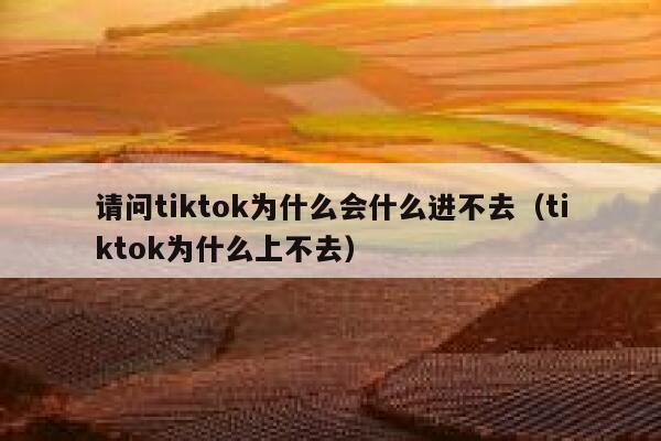 请问tiktok为什么会什么进不去（tiktok为什么上不去） 第1张