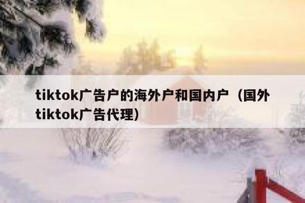 tiktok广告户的海外户和国内户（国外tiktok广告代理） 第1张