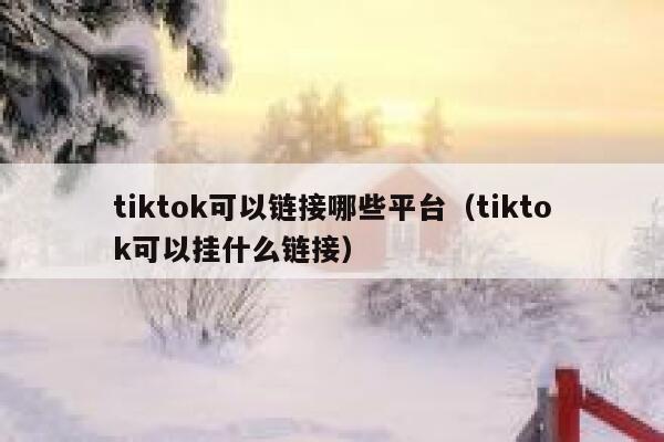 tiktok可以链接哪些平台(tiktok可以挂什么链接) 第1张 tiktok可以链接哪些平台(tiktok可以挂什么链接) 第1张