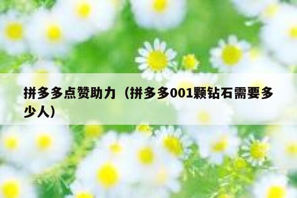 拼多多点赞助力（拼多多001颗钻石需要多少人） 第1张