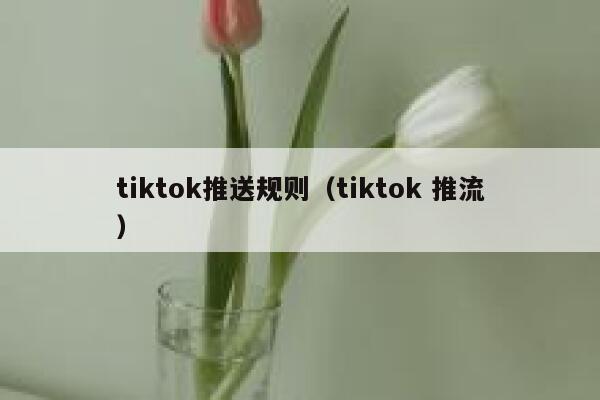 tiktok推送规则（tiktok 推流） 第1张