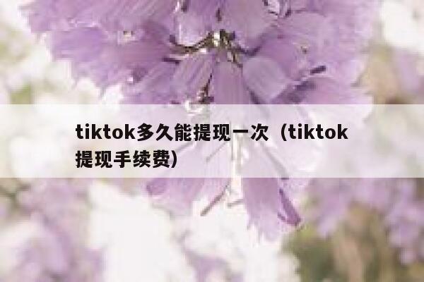 tiktok多久能提现一次（tiktok提现手续费） 第1张