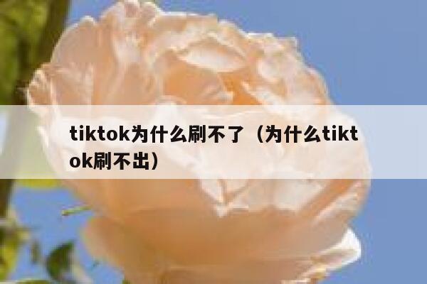 tiktok为什么刷不了（为什么tiktok刷不出） 第1张