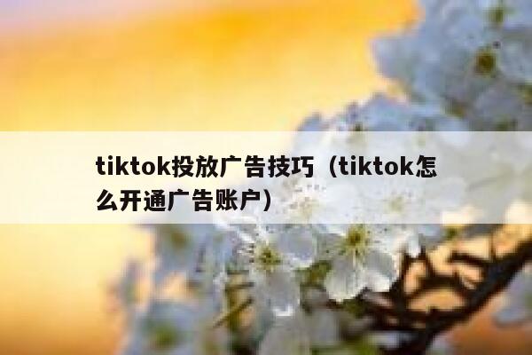 tiktok投放广告技巧（tiktok怎么开通广告账户） 第1张