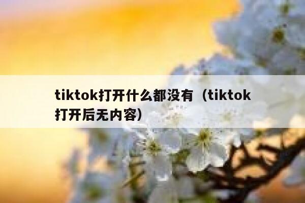 tiktok打开什么都没有（tiktok打开后无内容） 第1张