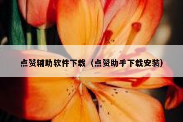 点赞辅助软件下载(点赞助手下载安装) 第1张 点赞辅助软件下载(点赞助手下载安装) 第1张
