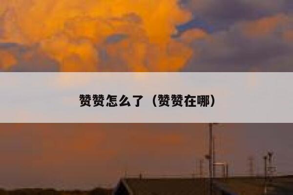赞赞怎么了（赞赞在哪） 第1张