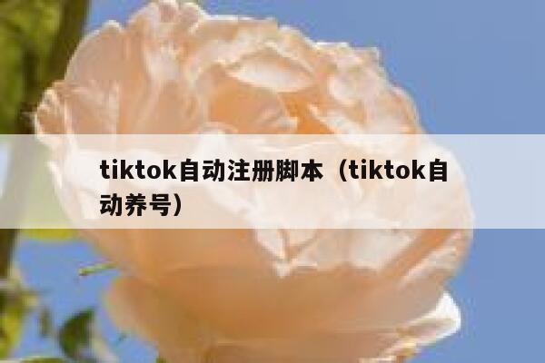 tiktok自动注册脚本（tiktok自动养号） 第1张
