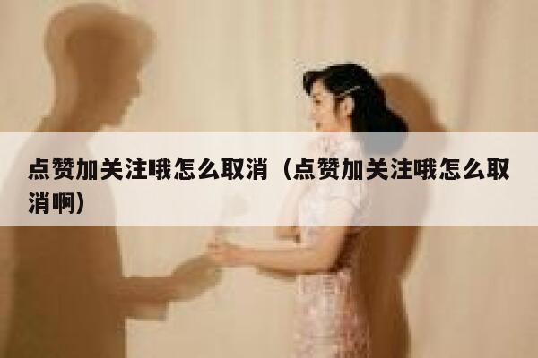 点赞加关注哦怎么取消（点赞加关注哦怎么取消啊） 第1张