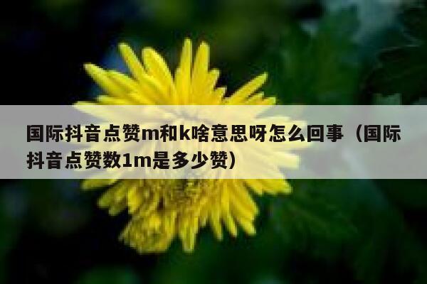 国际抖音点赞m和k啥意思呀怎么回事（国际抖音点赞数1m是多少赞） 第1张