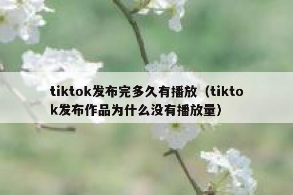 tiktok发布完多久有播放（tiktok发布作品为什么没有播放量） 第1张