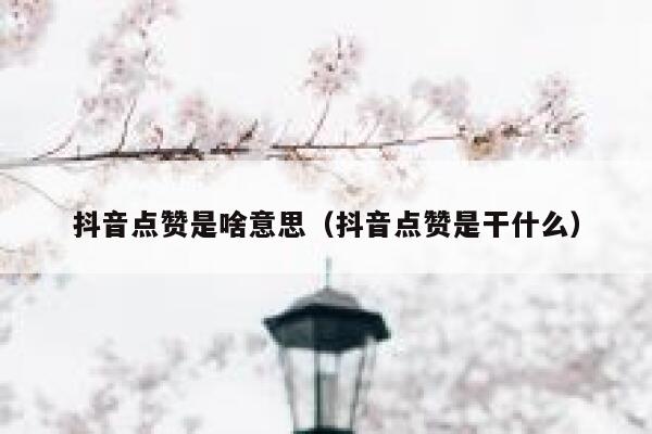 抖音点赞是啥意思(抖音点赞是干什么) 第1张 抖音点赞是啥意思(抖音点赞是干什么) 第1张