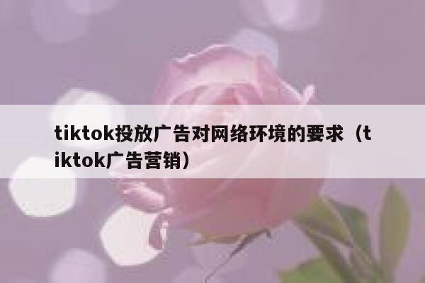tiktok投放广告对网络环境的要求(tiktok广告营销) 第1张 tiktok投放广告对网络环境的要求(tiktok广告营销) 第1张