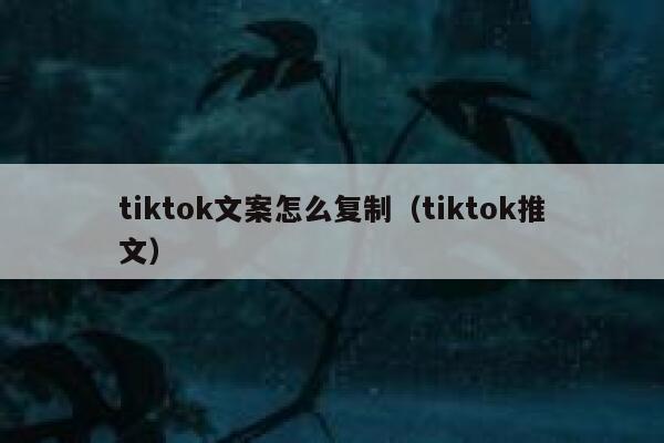 tiktok文案怎么复制(tiktok推文) 第1张 tiktok文案怎么复制(tiktok推文) 第1张