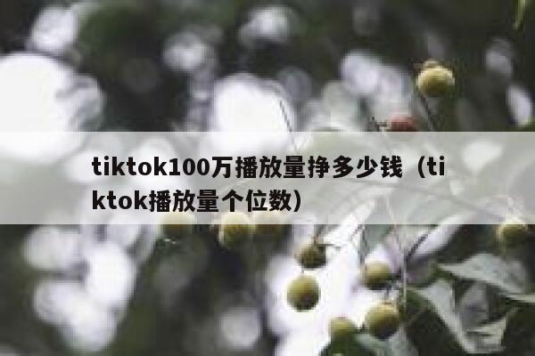 tiktok100万播放量挣多少钱（tiktok播放量个位数） 第1张