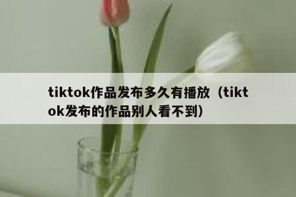 tiktok作品发布多久有播放（tiktok发布的作品别人看不到） 第1张