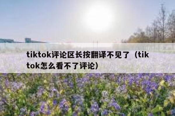 tiktok评论区长按翻译不见了（tiktok怎么看不了评论） 第1张
